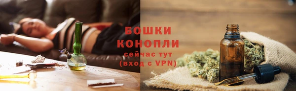 ALPHA PVP Гусев