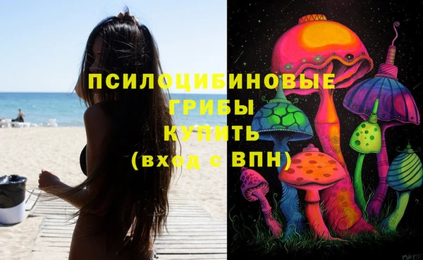 COCAINE Гусиноозёрск