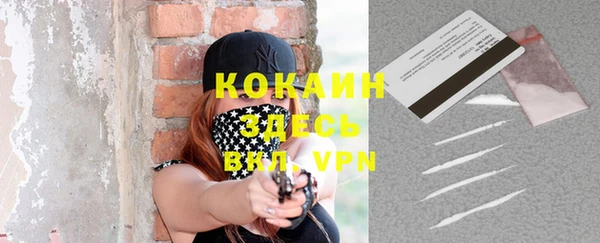 ALPHA PVP Гусев