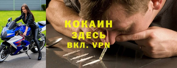 ALPHA PVP Гусев