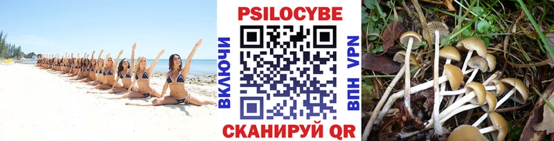 Галлюциногенные грибы ЛСД  где продают наркотики  Сусуман 
