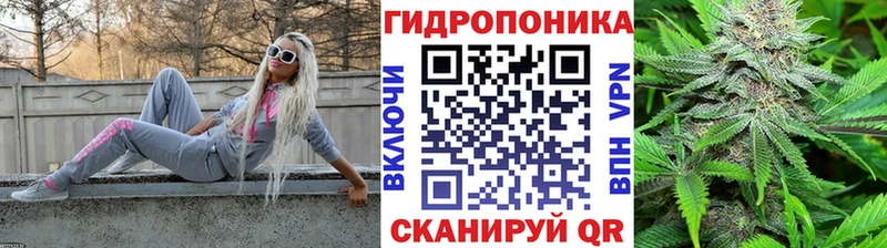 Канабис сатива KRAKEN зеркало Сусуман